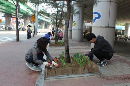 율천동 청사주변 봄맞이 봄꽃 식재